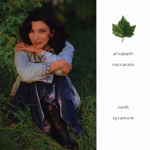 黄片下载免费初中生
